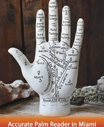 A serene hand sculpture stands gracefully, adorned with the intricate lines of destiny and wisdom. The gentle ambiance invites introspection and tranquility, offering a comforting embrace to those seeking clarity and peace. Accurate palm reader in Miami.