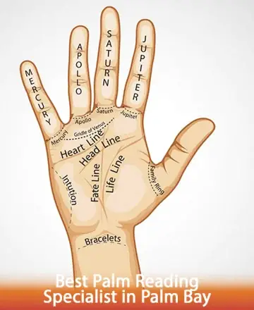 This gentle illustration of a hand reveals the profound lines that map your journey, inviting you to explore the depths of your destiny. Experience the serene beauty and wisdom that palmistry offers, guiding you towards inner peace and clarity. Best palm reading specialist in Palm Bay.