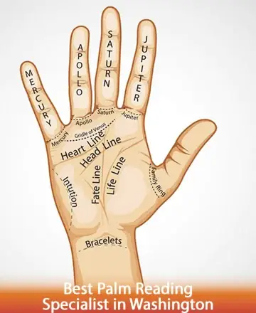 In the gentle embrace of ancient wisdom, this illustration guides you through the intricate paths of destiny etched in your palm. Each line tells a story of love, life, and purpose, inviting you to explore your unique journey. Palm reading in Washington.
