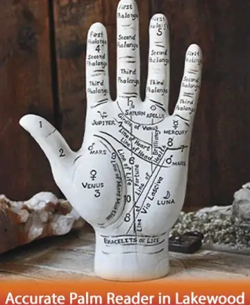This serene image of a palmistry hand invites a gentle exploration of your life's path. Intricately detailed lines and symbols speak of ancient wisdom, offering guidance and clarity. Let your journey unfold with peace and understanding. Accurate palm reader in Lakewood.