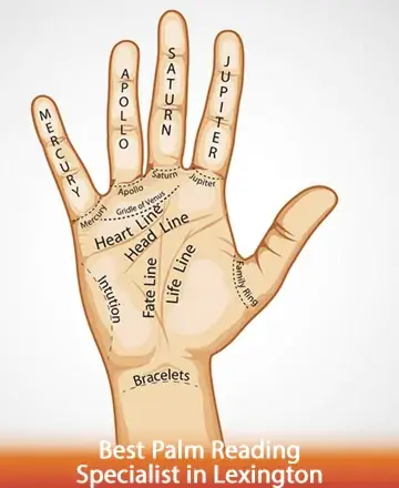 Immerse yourself in the serene art of palm reading, where each line tells a story, and every curve whispers ancient wisdom. Let the gentle guidance of the heart and life lines lead you to inner peace and understanding. Palmistry in Lexington.